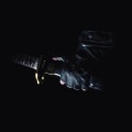 nankof - Bury the Light POWER remix (version B)