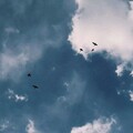 熙熙吃饱了 - 玩笑话