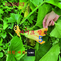 신성아 - 내영혼의 히로인