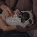 Natural Relaxation Sounds For Dogs