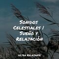 Sonidos Celestiales | Sueño y Relajación