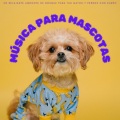 Música Relajante para Perros、Dormir Mejor、Relájate Ruido - Sereno Ambiente Gatuno