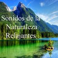 Sonidos Relajantes de la Naturaleza - Sonidos De La Naturaleza Relajantes