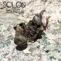 Solo 2 - Sonrisa