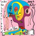 Joseph Arthur - Under the Starlight of Infinite Roses