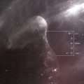 玫月 - 关于生和我的一些