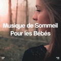Spa Music Relaxation、Relaxing Music Therapy、Música Relajante para Perros - Soothing Chill