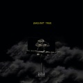 Sansol the Artist、Clark Beckham、Daniella Mason - Be Enough (feat. Clark Beckham & Daniella Mason)