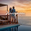Instrumental Wedding Music Zone - Moody Sax