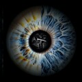 A.[D].N - Plus Jamais (Explicit)