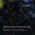 Nature: Perfect Bugs Background Sound to Focus Vol. 1