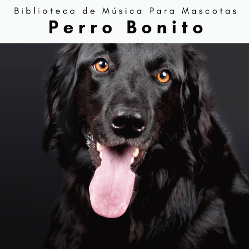 Biblioteca de Música Para Mascotas、Pets Relax - Los Perros y Perritos vol. 4