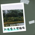 CNLY - 逝去的诺言