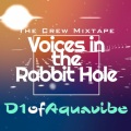 Voices in the Rabbit Hole (Crew Mixtape|Explicit)