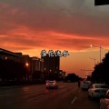 东方寒淋 - 落花流水