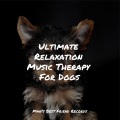 Ultimate Relaxation Music Therapy For Dogs