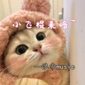 浪帝 - 猪猪侠 (浪帝DJ版)