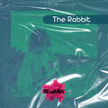 Evil Solo、Vianna - The Rabbit (Original Mix)