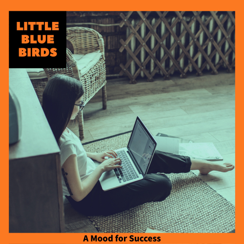 Little Blue Birds - The Longer the Better