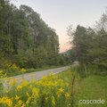 Inclination