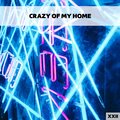 Crazy Of My Home XXII