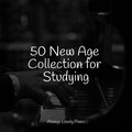 50 New Age Collection for Studying