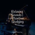 Relaxing Sounds | Attentive Studying