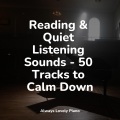 Reading & Quiet Listening Sounds - 50 Tracks to Calm Down
