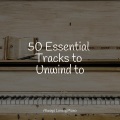 Piano Dreams、Chilout Piano Lounge、Concentration Music Ensemble - Chants of Autumn