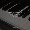 #2022 50 Tracks for Relaxation and Studying