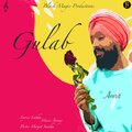 Harvee - Gulab