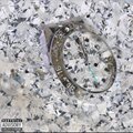 Smokey Capone、Big Smokey、Paul Rappen、Max2k10、Max Wegmeth、Artem Bluffa、Bluffa Plug - Steh'n Bleibt (Explicit)
