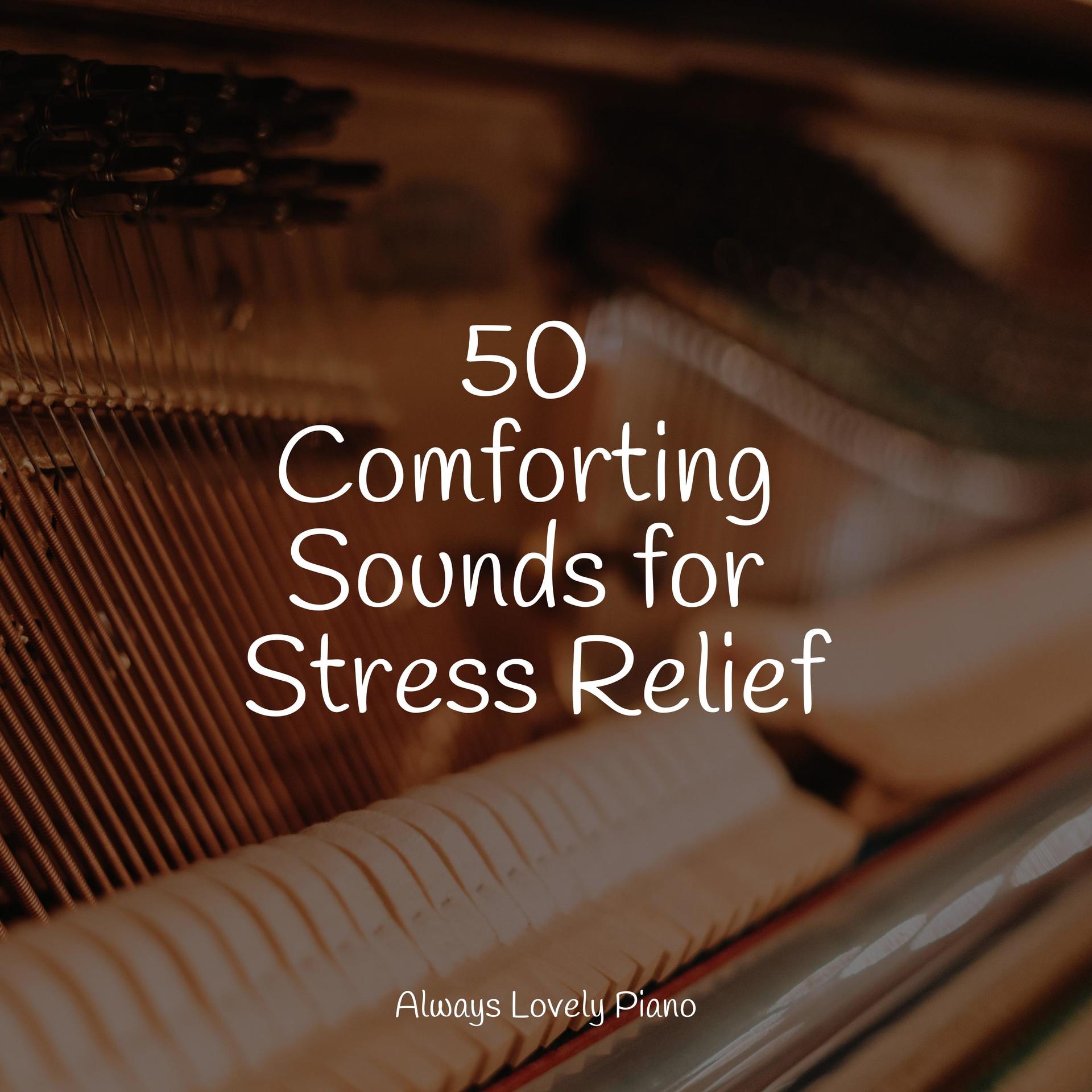 50 Comforting Sounds for Stress Relief