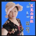 严妮 - 又见山里红