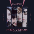 Camelia_junjun - Pink Venom (Originally Performed by Blackpink)(Camelia_junjun )(Remix)