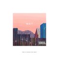 Wait (Explicit)