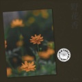 辰枫 - 杀阡陌