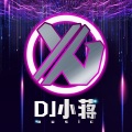DJ小蒋 - Summer