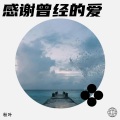 辰枫 - 用余生忘记你