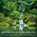 Serenidad y Armonía、Musica Instrumental Para Relajar tus Sentidos、Estudiando Música - Corrientes Del Agua