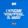 I Know You Feel A Way (Explicit)