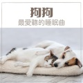 睡觉的狗歌 - 狗狗最爱听的睡眠曲