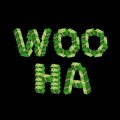 Wooha (Explicit)