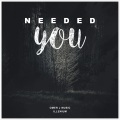 Needed You (feat. Dia Frampton)(OMER J EDIT)