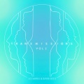 Davor Bozic、Lee Harris - Healing