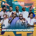 Desnamorando (Ao Vivo)