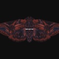 摇光Benetnasch - Red Moths