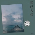 辰枫 - 爱火烧不尽