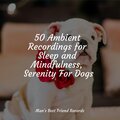 50 Ambient Recordings for Sleep and Mindfulness, Serenity For Dogs