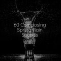 60 Composing Spring Rain Sounds